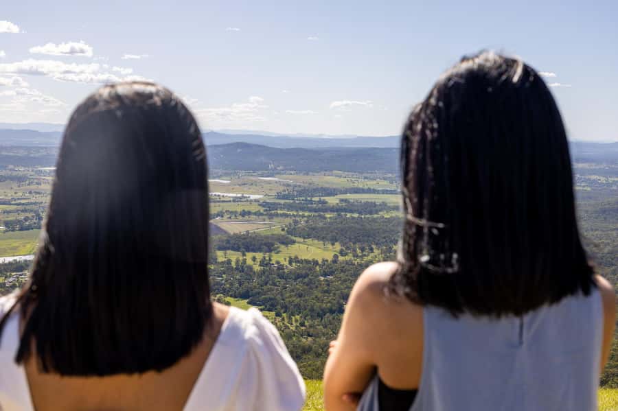 Brisbane: Tamborine Mountain Local Winery Tour with Lunch - What $162 buys you