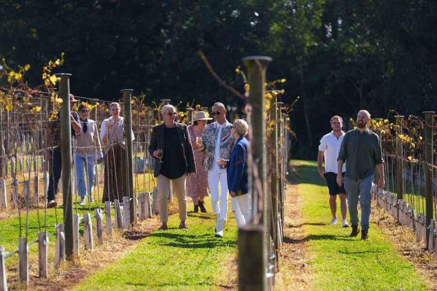 Brisbane: Tamborine Wine & Distillery Tour - What the $134 price gets you