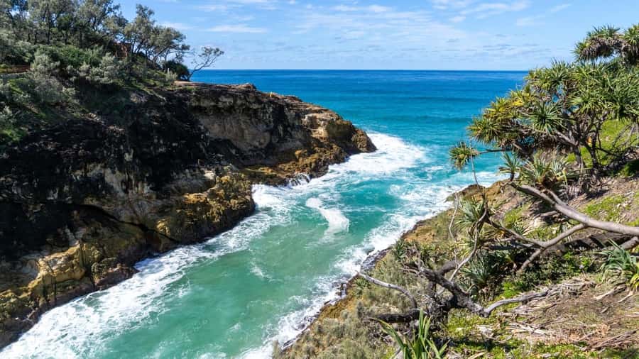 Brisbane to North Stradbroke Island Day: Wildlife & Beaches - Key points to know before booking
