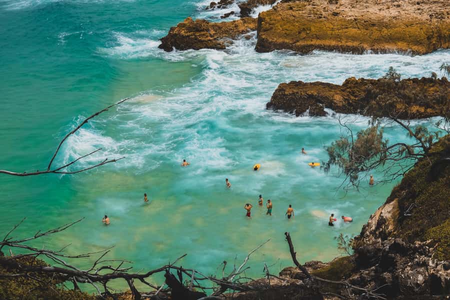 Brisbane to North Stradbroke Island Day: Wildlife & Beaches - Amity Point and the search for koalas at day’s end