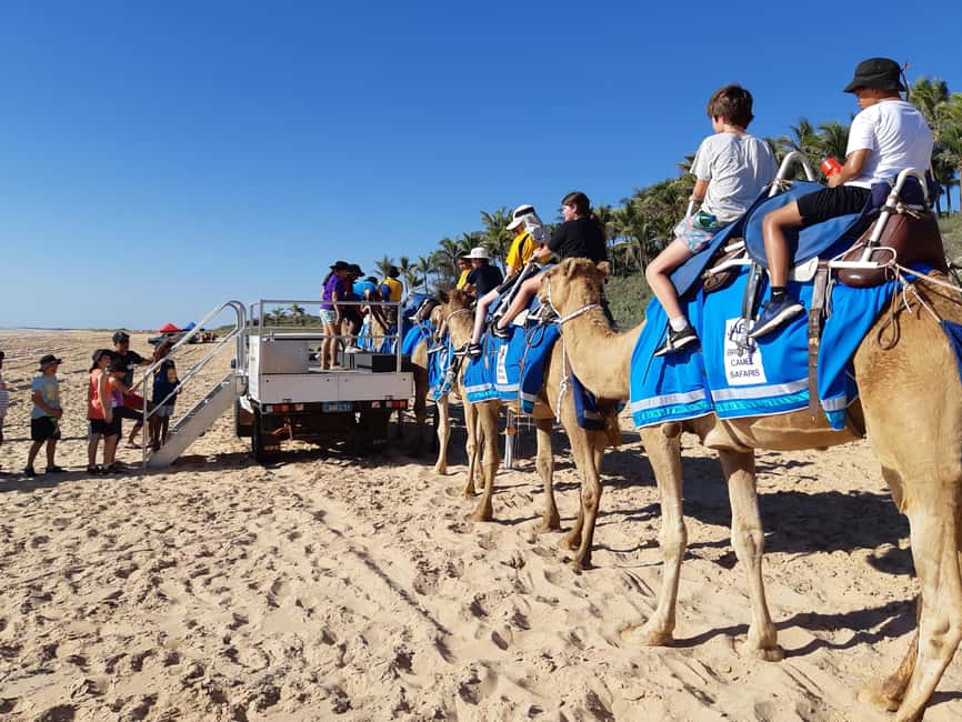 Broome: 45-Minute Pre-Sunset Cable Beach Camel Ride - Why a Cable Beach camel ride works so well