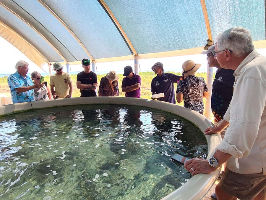 Broome: Dampier Peninsula Tour (Optional Scenic Flight) - Why this is one of Broome’s most useful day trips