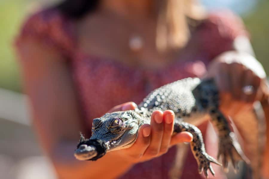 Broome: Matso's Brewery, Museum & Crocodile Park Combo Tour - A short tasting at Australia’s remote brewery