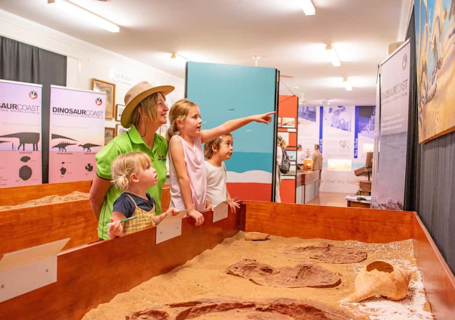 Broome: Matso's Brewery, Museum & Crocodile Park Combo Tour - Who will get the most from this tour