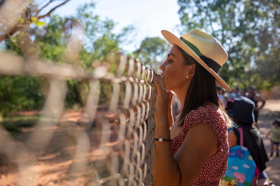 Broome: Matso's Brewery, Museum & Crocodile Park Combo Tour - How it compares with planning the stops yourself
