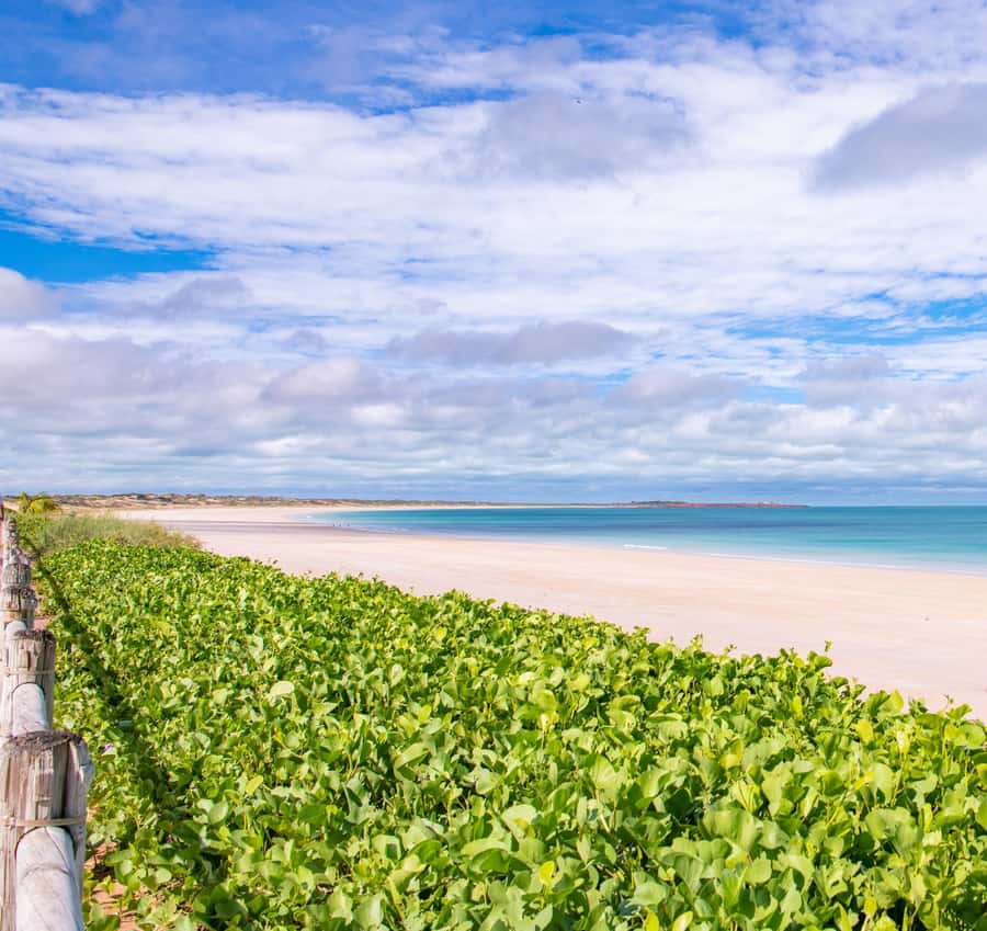 Broome: Panoramic and Discovery - Morning Tour w/ Transfers - A fast way to understand Broome