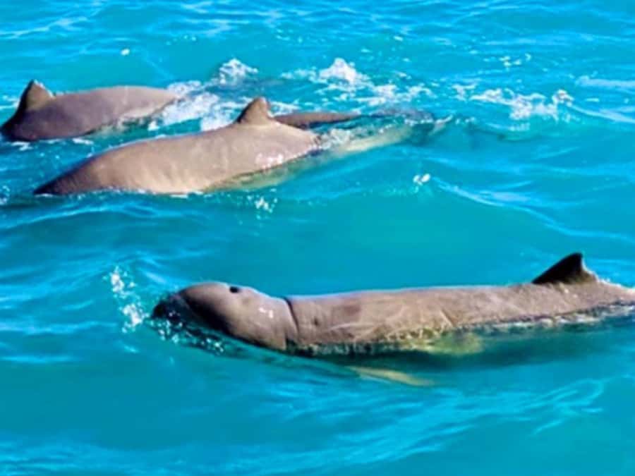 BROOME: SCENIC & PREHISTORIC CRUISE- Wine & Gourmet Platters - The secluded beach and its ancient evidence