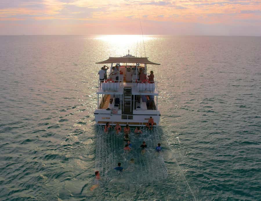 Broome: Whale Watching & Sunset Cruise - What the crew adds to the whale search