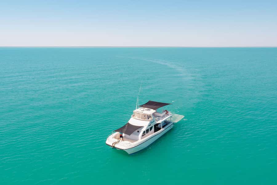 Broome: Whale Watching & Sunset Cruise - Treats, drinks, and the question of lunch