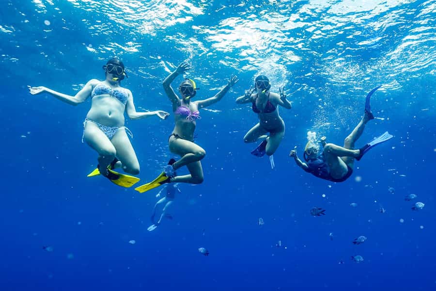 Brunswick Heads: Snorkelling in Byron Bay - Why the 12-person limit matters