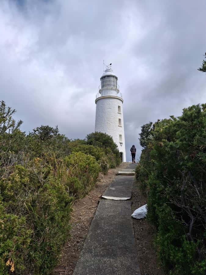 Bruny Island: Cape Bruny Lighthouse Tour - Key points before you book
