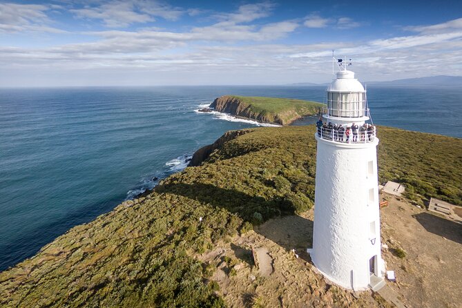 Bruny Island Food, Sightseeing, Guided Lighthouse Tour & Lunch - Key points to know before booking