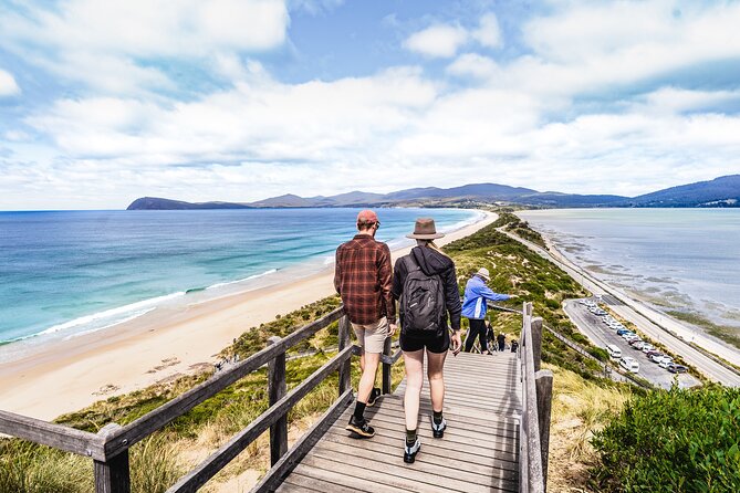 Bruny Island Food, Sightseeing, Guided Lighthouse Tour & Lunch - From Hobart to the D’Entrecasteaux Channel