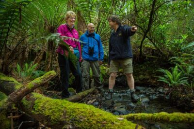 Bruny Island Traveller – Gourmet Tasting and Sightseeing Day Trip from Hobart