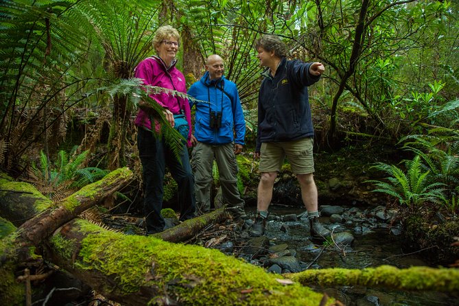 Bruny Island Traveller - Gourmet Tasting and Sightseeing Day Trip from Hobart - Early tastings: a flavorful start