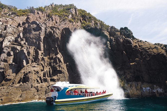 Bruny Island Wilderness Cruise from Adventure Bay, Bruny Island - Cliffs, caves, and blowholes along South Bruny