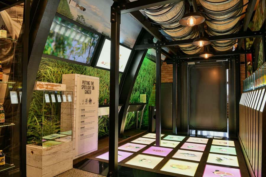 Bundaberg: Brew Tasting and Self-Guided Gallery Tour - Who will enjoy this experience most