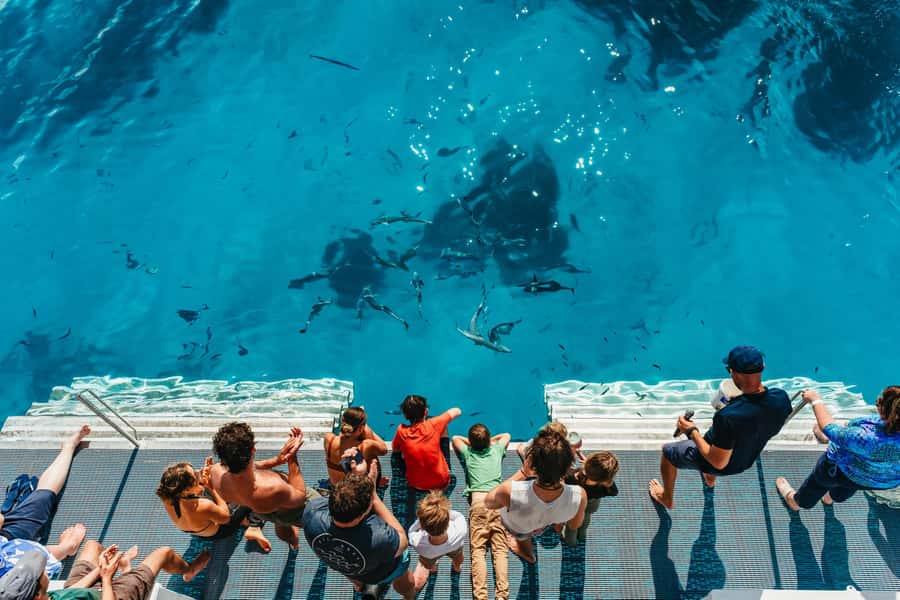 Bundaberg: Lady Musgrave Island and Great Barrier Reef Tour - Key points before you book