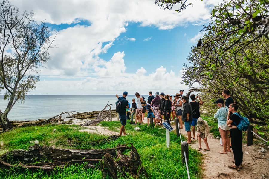 Bundaberg: Lady Musgrave Island and Great Barrier Reef Tour - Why Lady Musgrave makes a good Southern Reef trip
