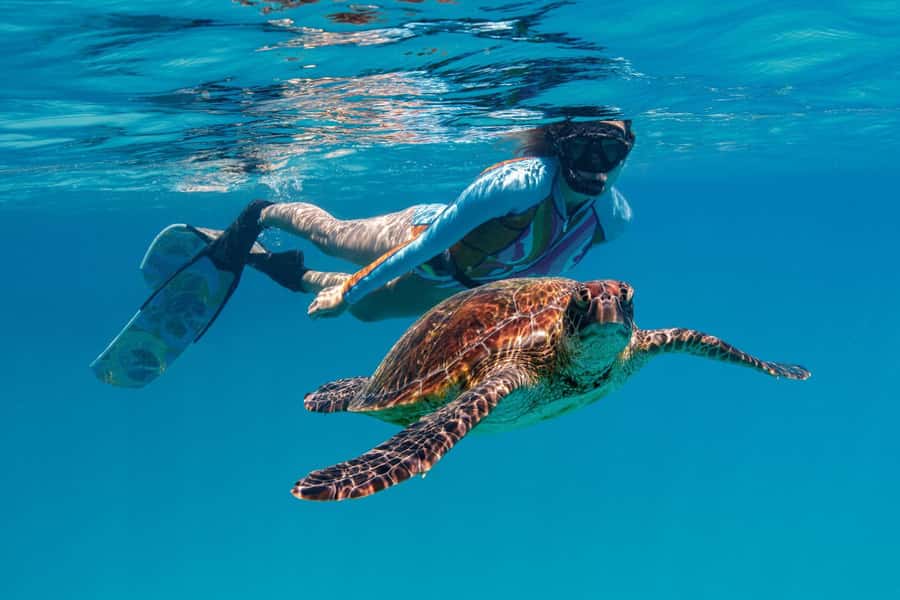 Bundaberg: Lady Musgrave Island and Great Barrier Reef Tour - Crew support and the feel of the day