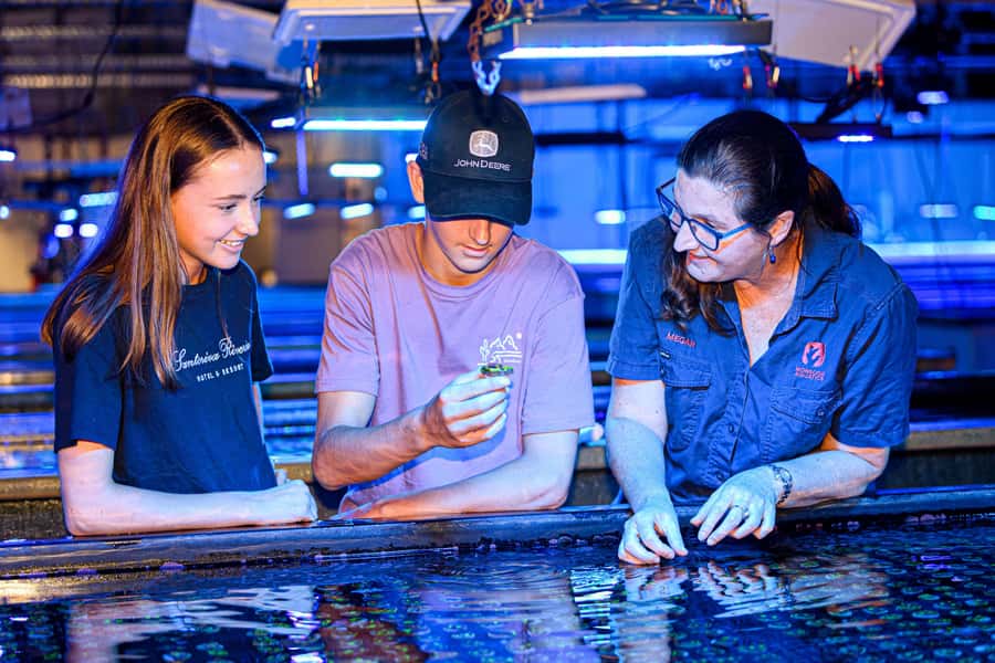 Bundaberg: Monsoon Aquatics Coral Farm Guided Tour - Key points to know before you go