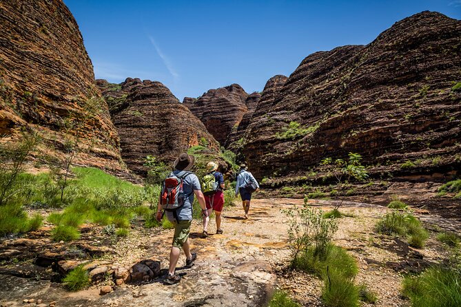 Bungle Bungle Flight & Domes To Cathedral Gorge Walking Tour - Key points to know before you book