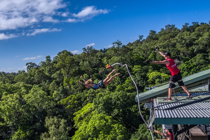 Bungy Jump Experience at Skypark Cairns by AJ Hackett - The forest setting and the view