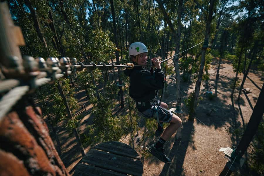 Busselton: Forest Adventure with Zip Lining and Rope Course - The zip lines are spread through the forest