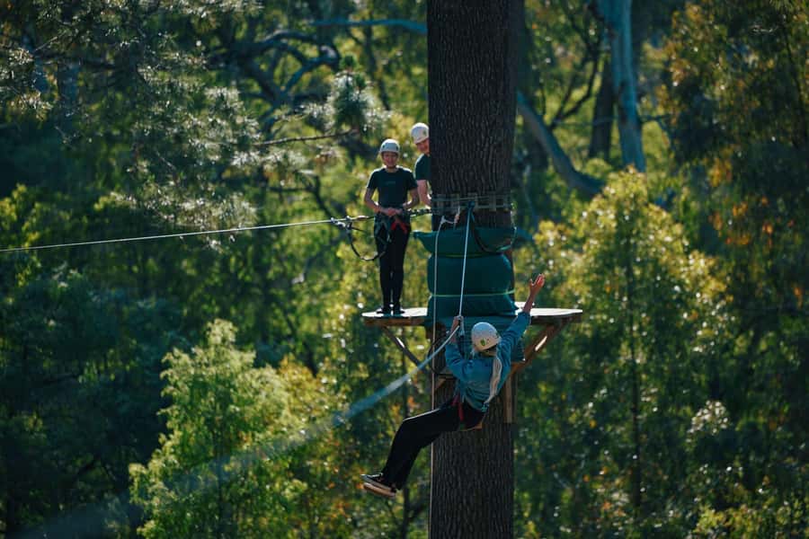 Busselton: Forest Adventure with Zip Lining and Rope Course - BMX, skateboards, and Tarzan jumps