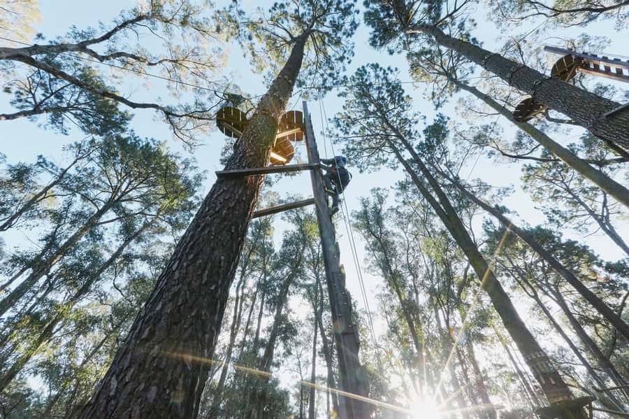 Busselton: Forest Adventure with Zip Lining and Rope Course - A good family choice, with important age rules