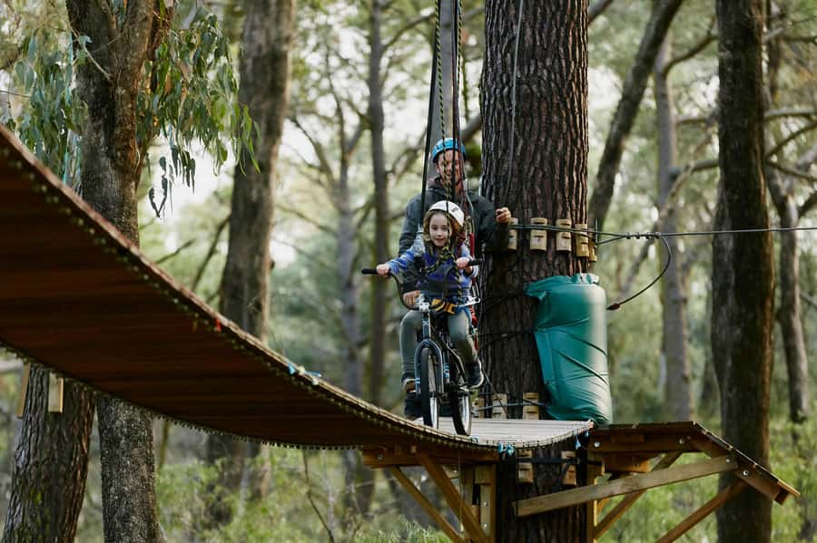 Busselton: Forest Adventure with Zip Lining and Rope Course - The forest setting is part of the appeal