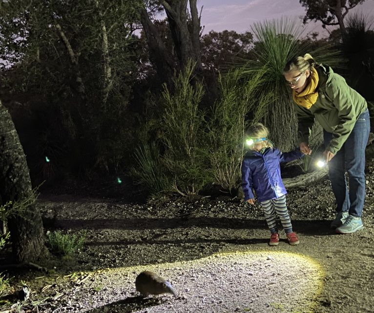 Busselton: Nocturnal Animal Tour - Key points to know before you go