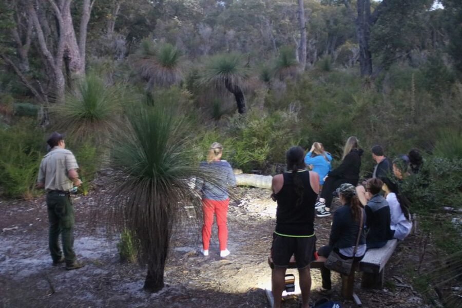 Busselton: Nocturnal Animal Tour - A different kind of night out near Busselton