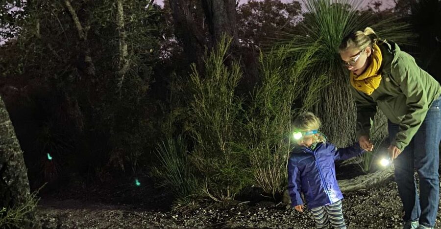 Busselton: Nocturnal Animal Tour - Should you book the Busselton Nocturnal Animal Tour?