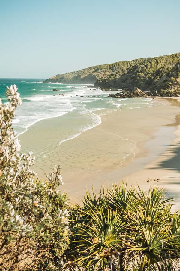Byron Bay: Behind The Bay Waterfalls & Hidden Gems Day Tour - What the guide adds to the day