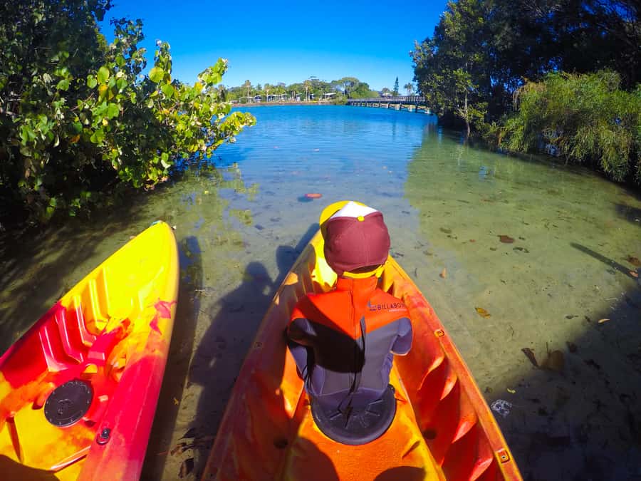 Byron Bay: Brunswick River Scenic Kayak Tour - Practical preparation before you go