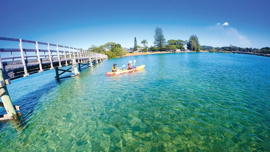 Byron Bay: Brunswick River Scenic Kayak Tour - Wildlife watching from a kayak