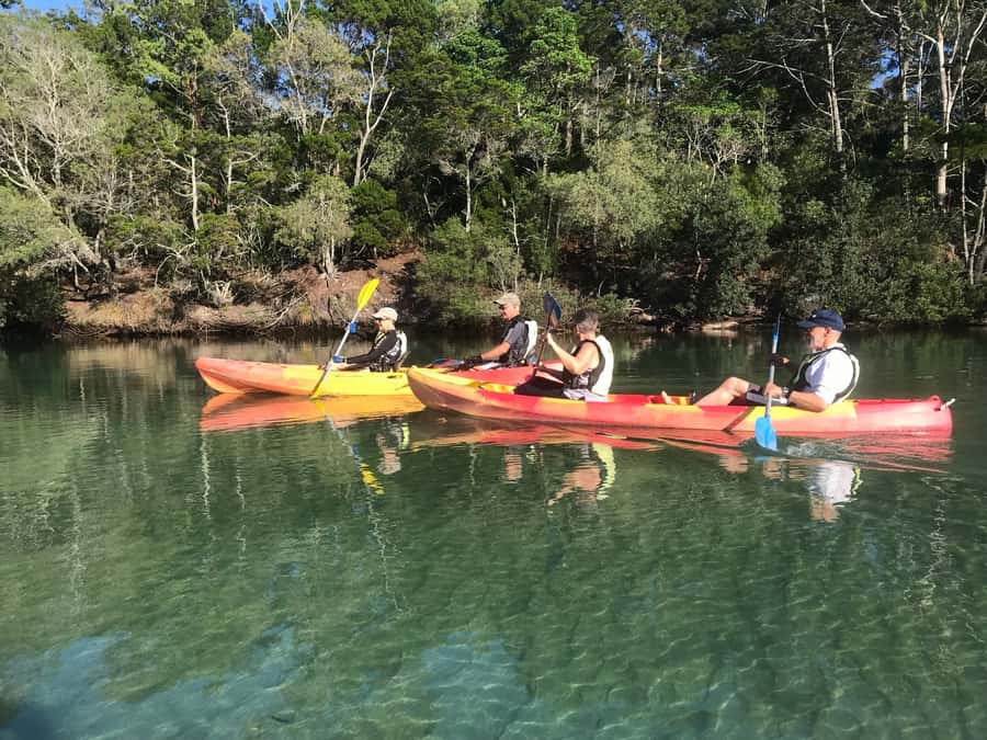 Byron Bay: Brunswick River Scenic Kayak Tour - The secluded riverbank break