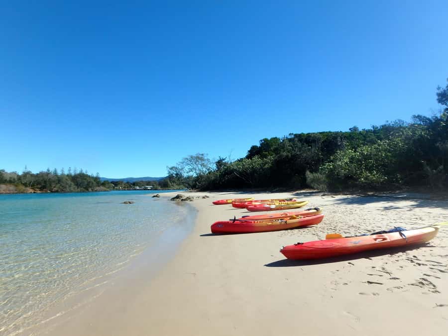 Byron Bay: Brunswick River Scenic Kayak Tour - Continuing along the river with a local guide