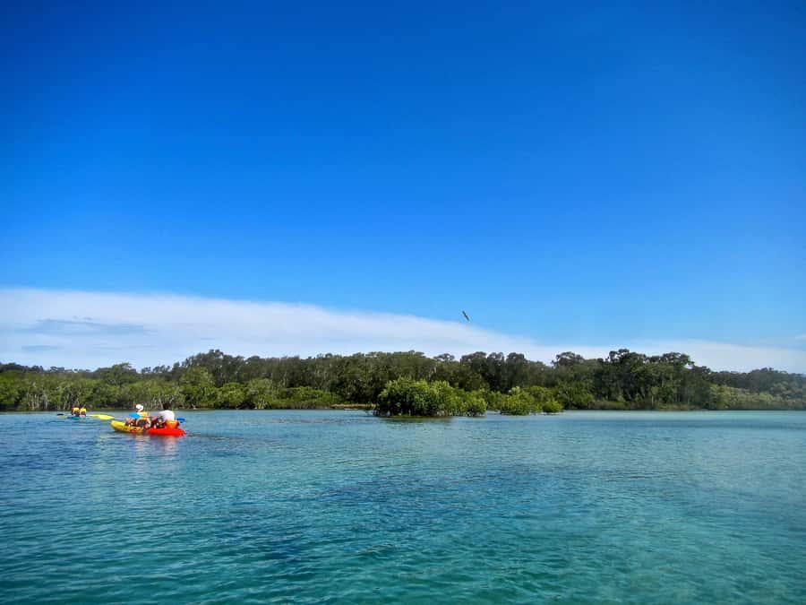 Byron Bay: Brunswick River Scenic Kayak Tour - What the $42 price gets you