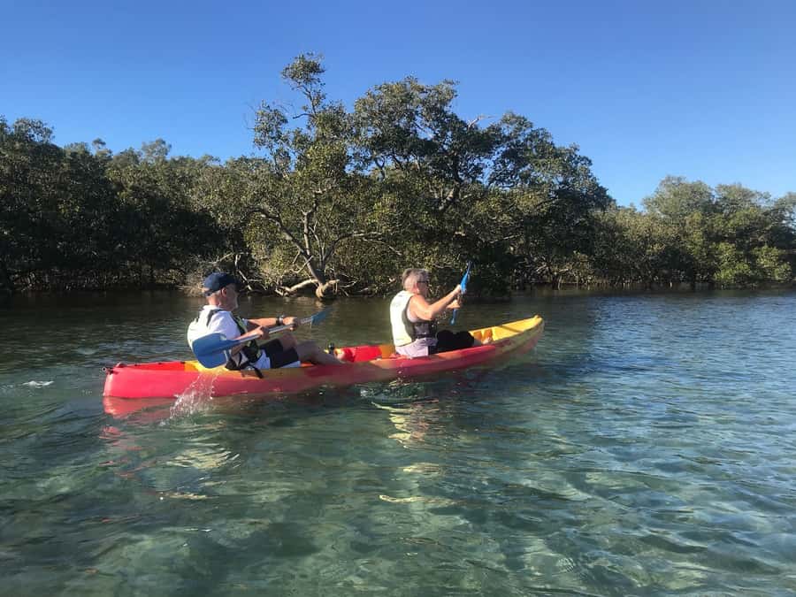 Byron Bay: Brunswick River Scenic Kayak Tour - Who will enjoy this most
