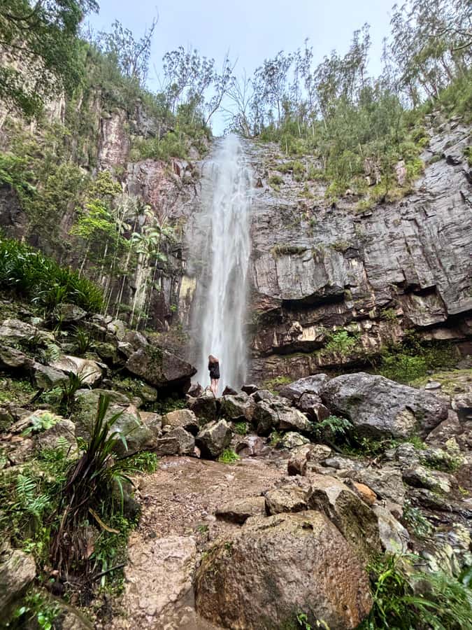 Byron Bay: Glowworms, Waterfalls & Rainforest Experience - From Byron Bay to the first lookout
