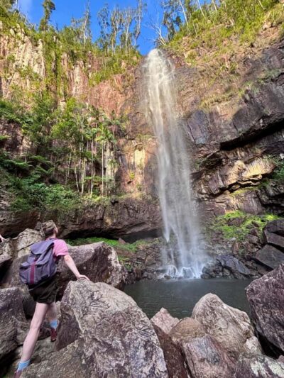 Glowworms, Waterfalls & Rainforest Experience