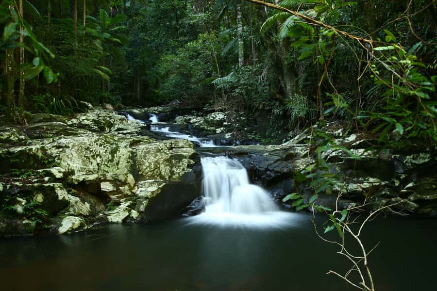 Byron Bay: Glowworms, Waterfalls & Rainforest Experience - Guides who make the difference
