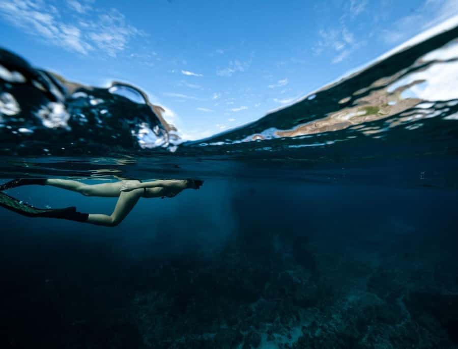 Byron Bay: Snorkeling Tour at Julian Rocks, Nguthungulli - What you might see below the surface