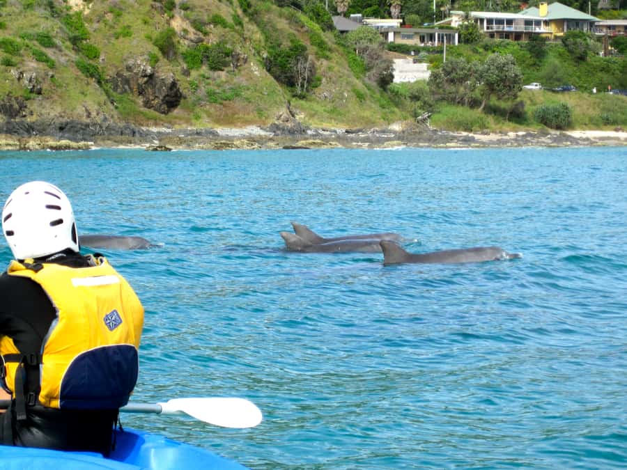 Byron Bay: The Byron Bay Sea Kayak Tour - Paddling out from Main Beach
