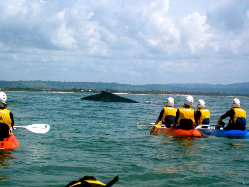 Byron Bay: The Byron Bay Sea Kayak Tour - The surf finish at a famous beach