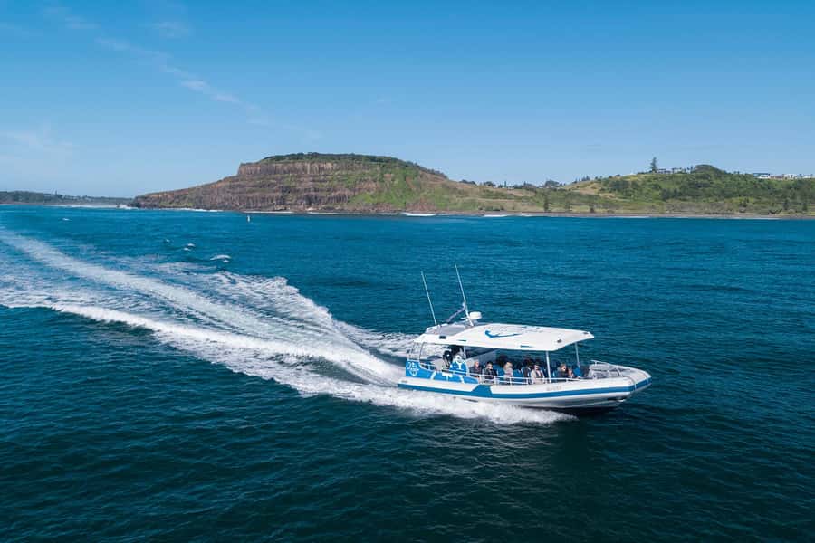 Byron Bay: Whale Watching Cruise with a Marine Biologist - Who will enjoy this cruise most