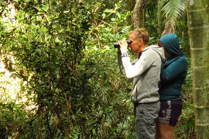 Byron Bay Wildlife Safari - Three habitats, three very different wildlife searches