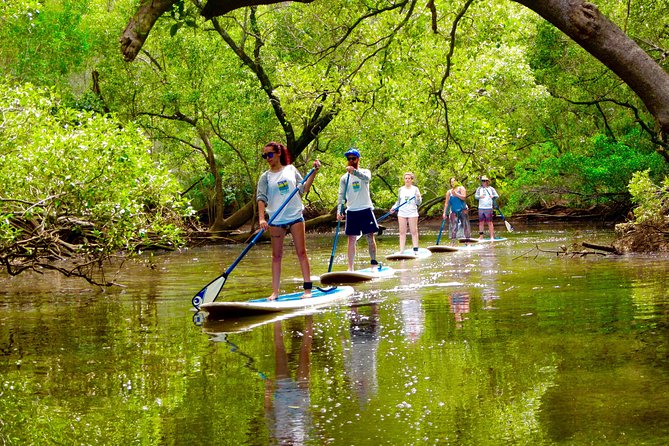 Byron Stand Up Paddle Nature Tour - Key points to know before you book